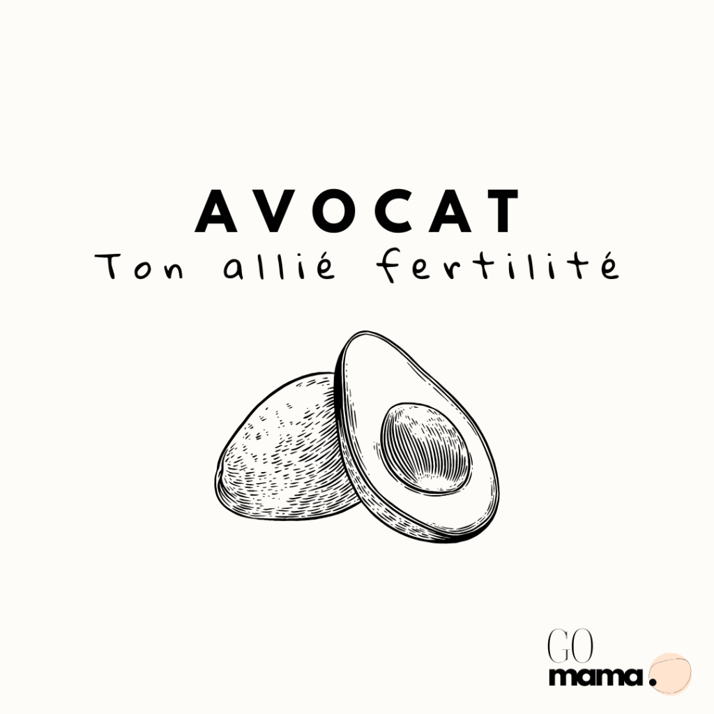 FOCUS AVOCAT l'allié crémeux pour ta fertilité