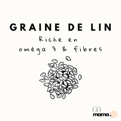 Les Graines de Lin : Un Boost Naturel pour la Fertilité