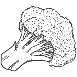 brocoli aliments pro fertilité