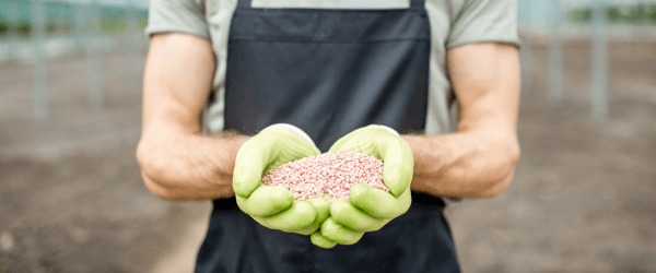 fertilite masculine magnesium