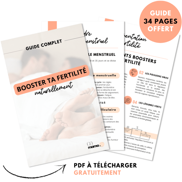 GUIDE FERTILITÉ PDF À TÉLÉCHARGER