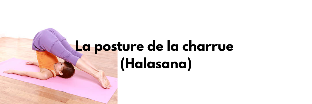 La posture de la charrue (Halasana)