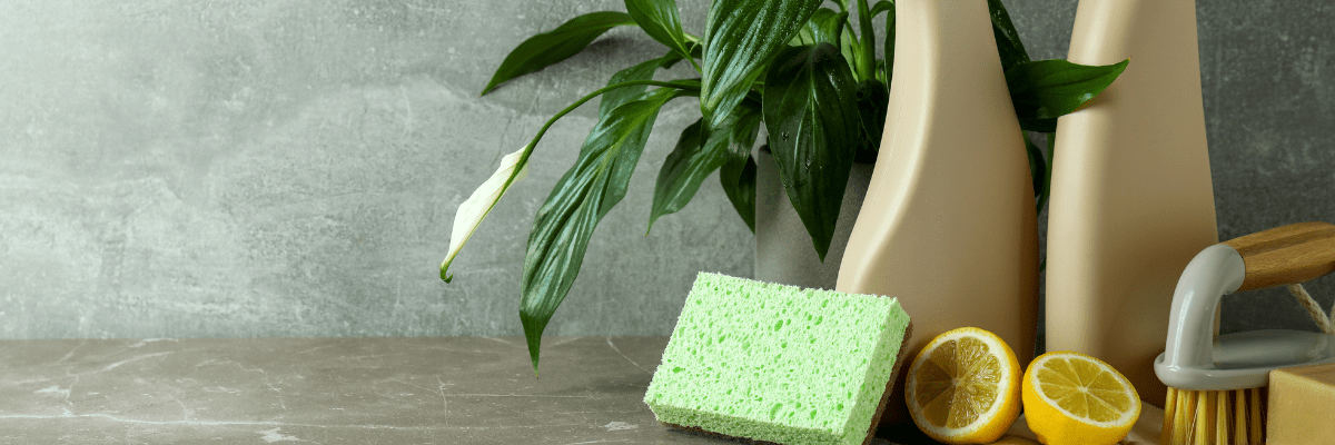 ou trouve t on les perturbateurs endocriniens