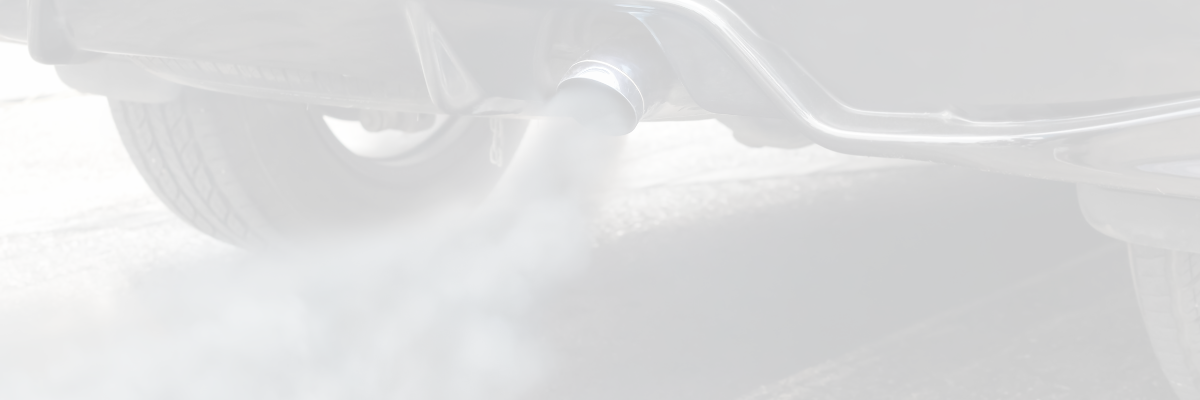 pollution et fertilité