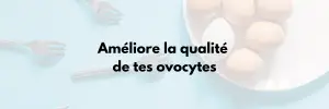 qualité des ovocytes