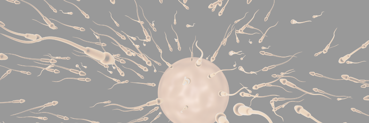 stress oxydatif et fertilité masculine