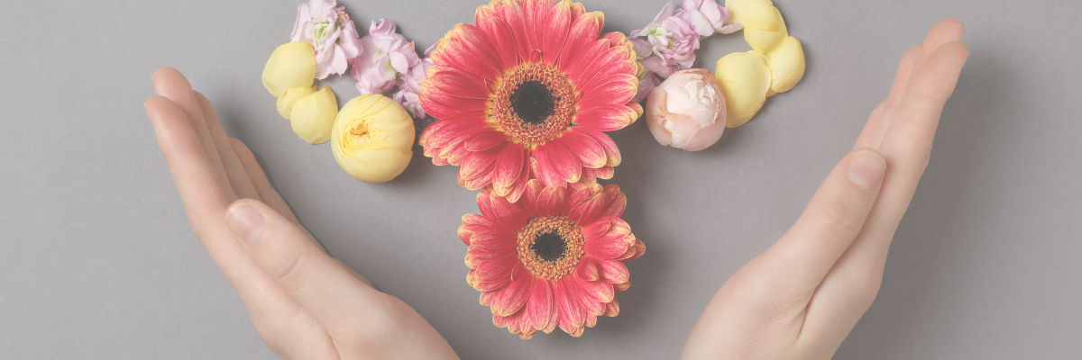 imc et cycle menstruel