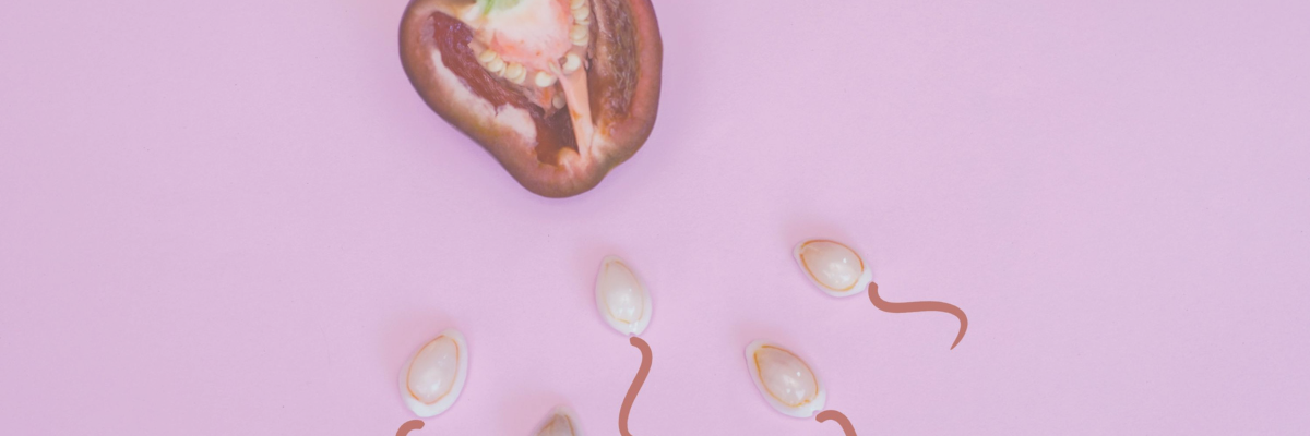 imc et fertilité stratégies