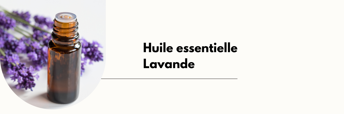 Huile essentielle lavande fertilité