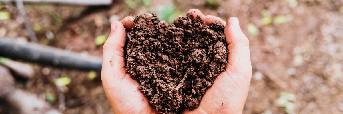 recommandations fertilité