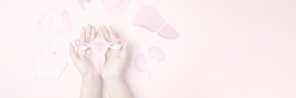 symptothermie et ovulation reussie